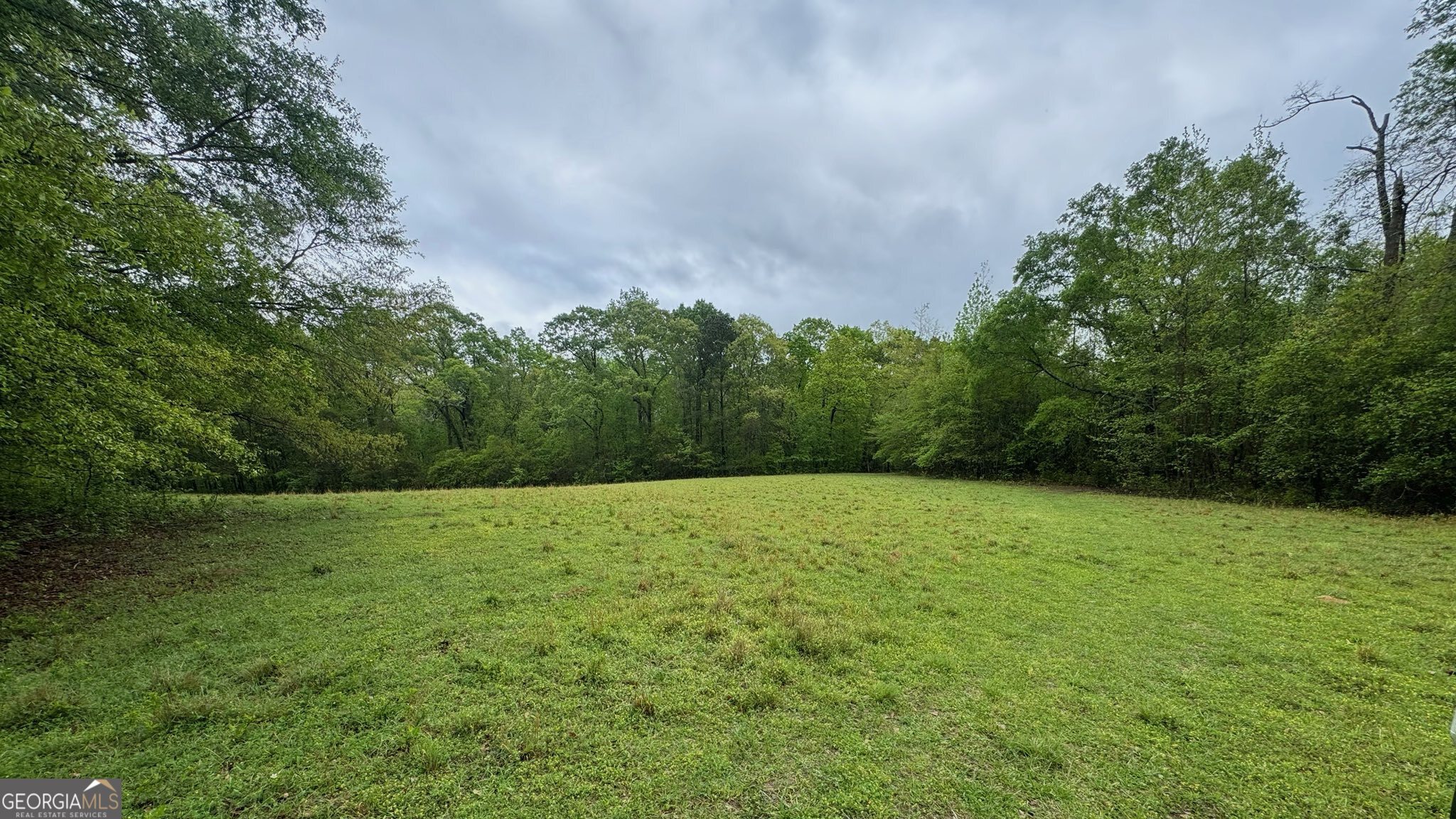 48.04-acres Caldwell Road Zebulon, GA 30295 - Photo 6 of 23 a view of an outdoor space and a yard