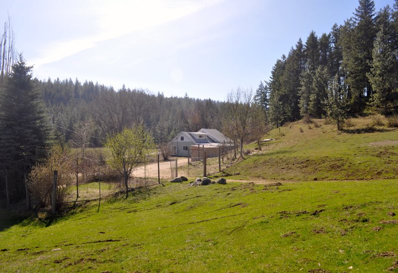 41915 North Jefferson Road Elk, WA 99009 - Photo 2 of 20