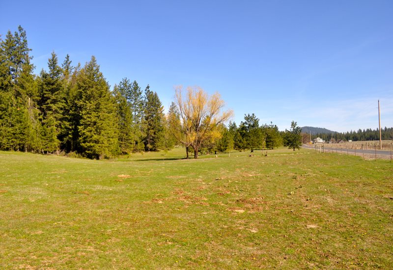 41915 North Jefferson Road Elk, WA 99009 - Photo 15 of 20