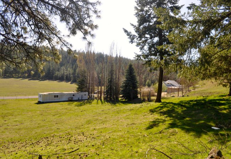 41915 North Jefferson Road Elk, WA 99009 - Photo 16 of 20