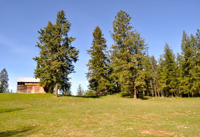 41915 North Jefferson Road Elk, WA 99009 - Photo 17 of 20
