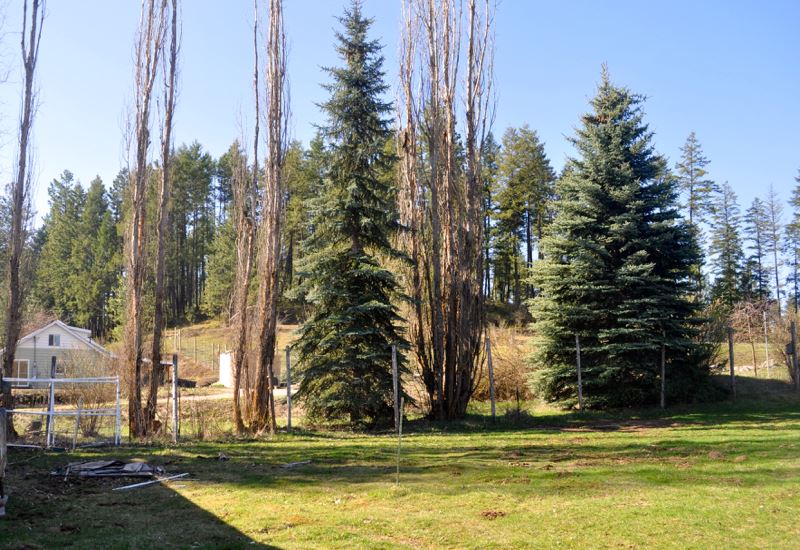 41915 North Jefferson Road Elk, WA 99009 - Photo 5 of 20