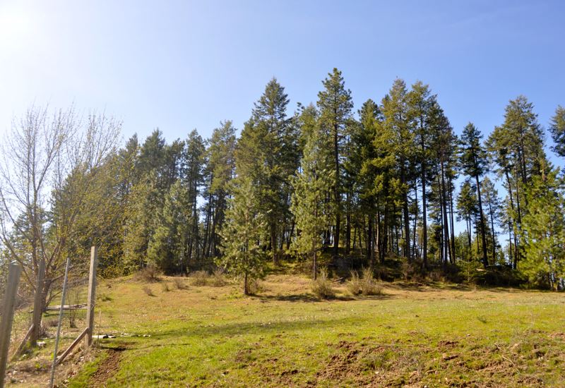 41915 North Jefferson Road Elk, WA 99009 - Photo 7 of 20