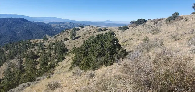 a view of a dry yard with mountains in the background