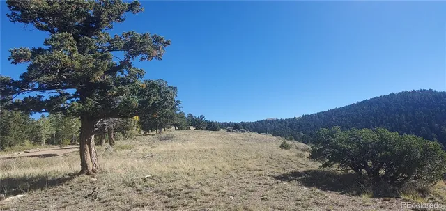 a view of a mountain range with trees in the background