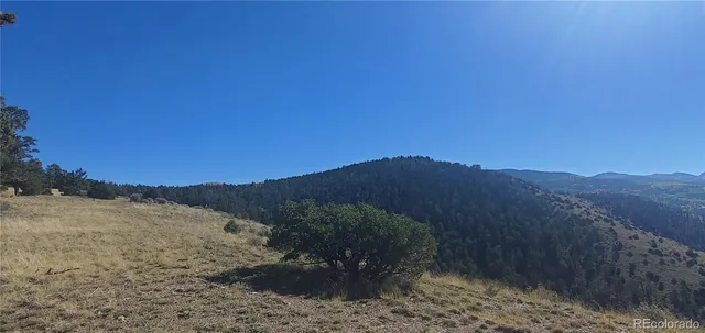 a view of a yard with a mountain