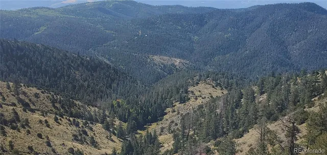 a view of a dry yard with mountains in the background