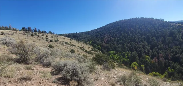a view of a dry yard with trees in the background
