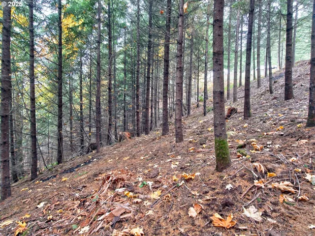 $870,000 | 6015 Northwest High Heaven Road, McMinnville, OR 97128