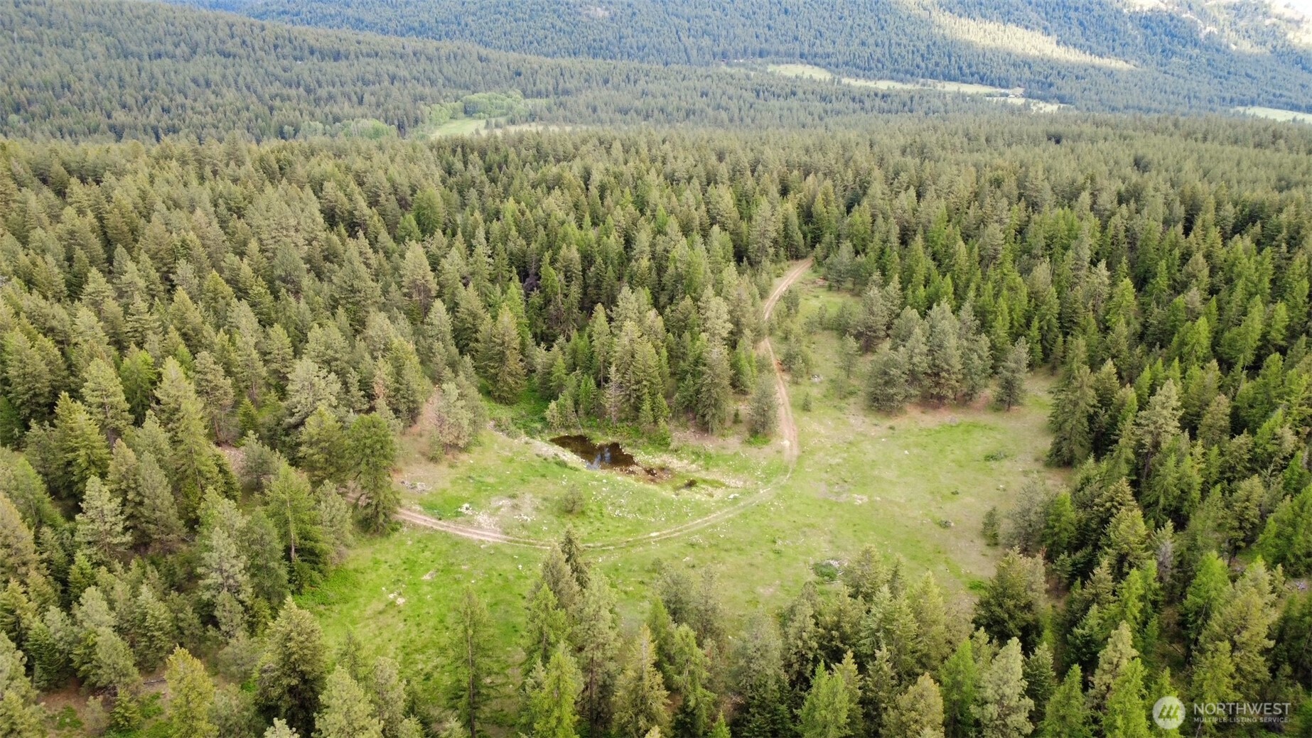0 Blue Meadow Road Tonasket, WA 98855 - Photo 1 of 26 a view of a yard