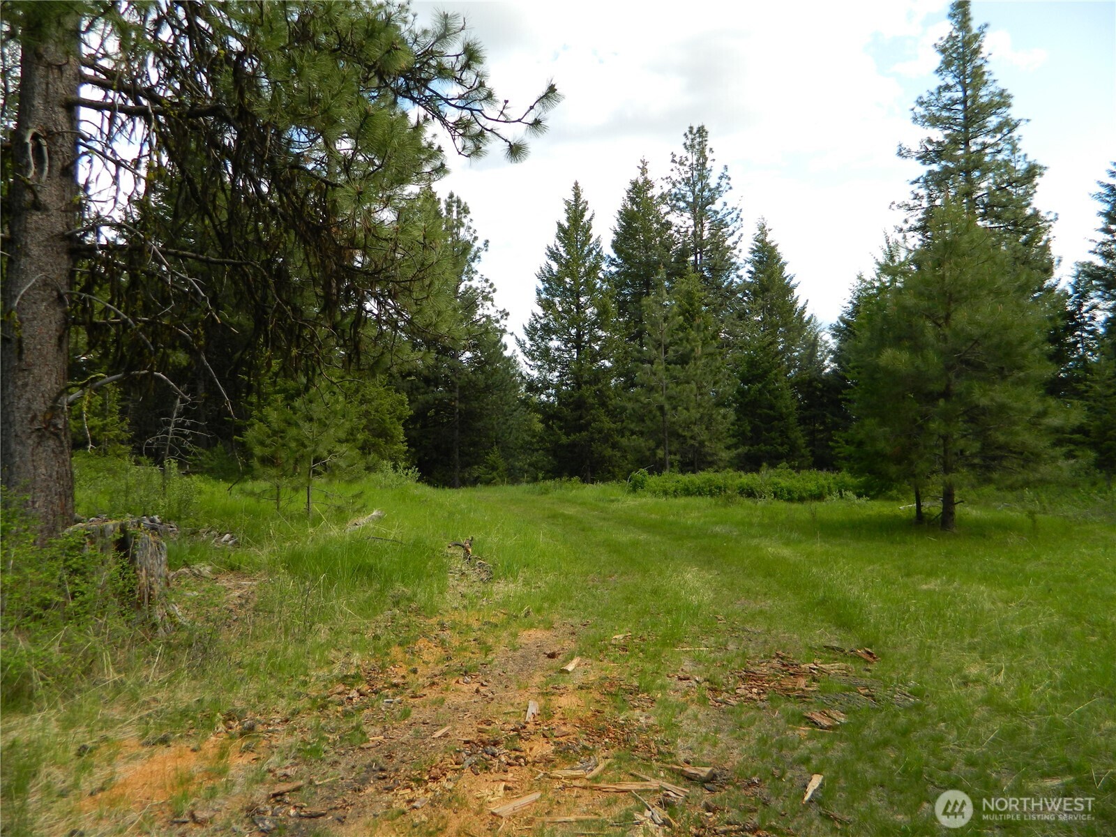 0 Blue Meadow Road Tonasket, WA 98855 - Photo 11 of 26 a view of a garden