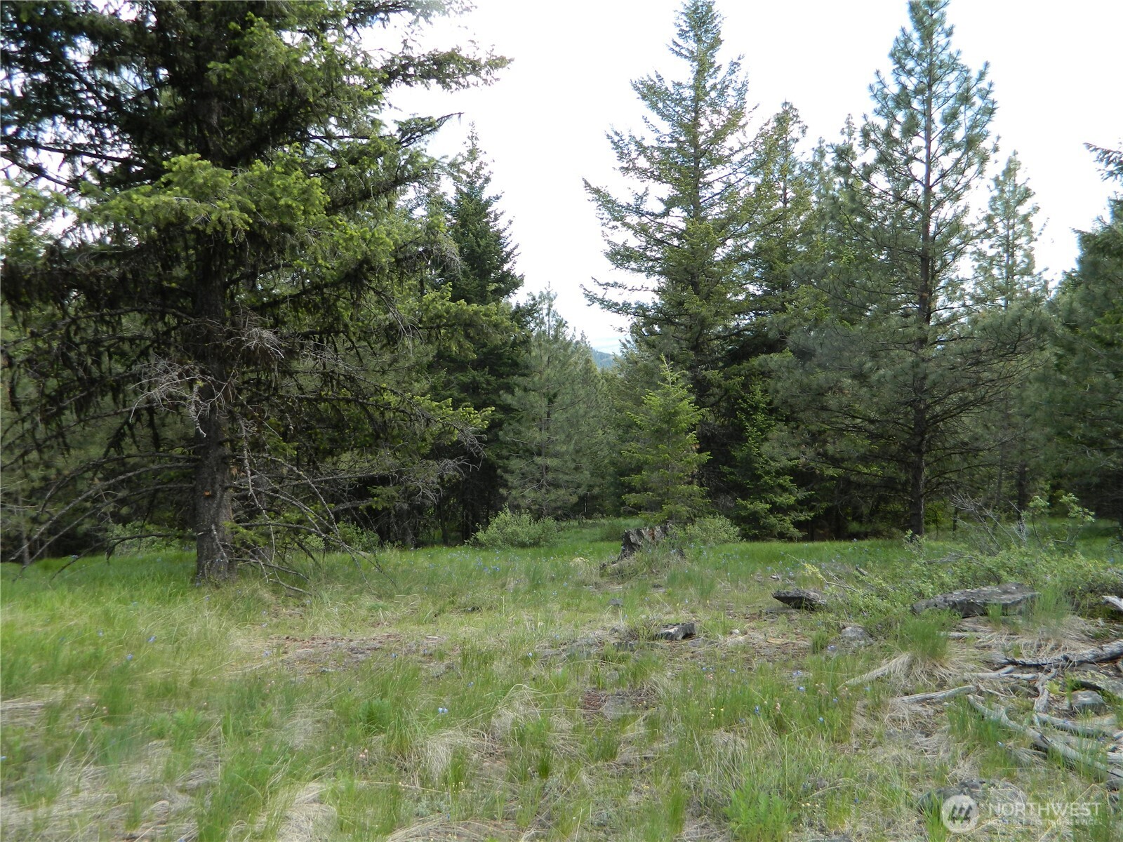 0 Blue Meadow Road Tonasket, WA 98855 - Photo 19 of 26 a view of outdoor space and green field