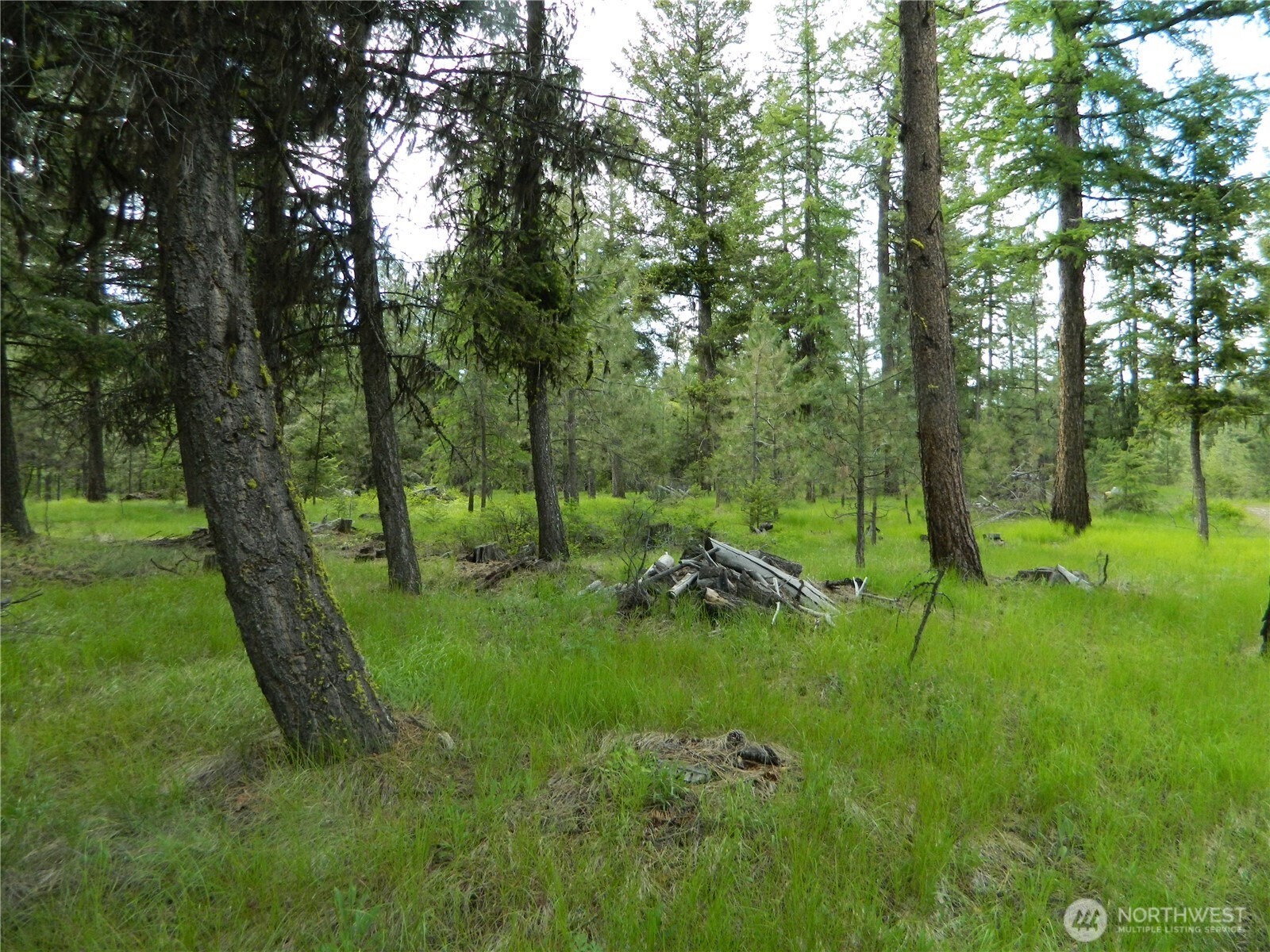 0 Blue Meadow Road Tonasket, WA 98855 - Photo 21 of 26 a view of an outdoor space with a lake view