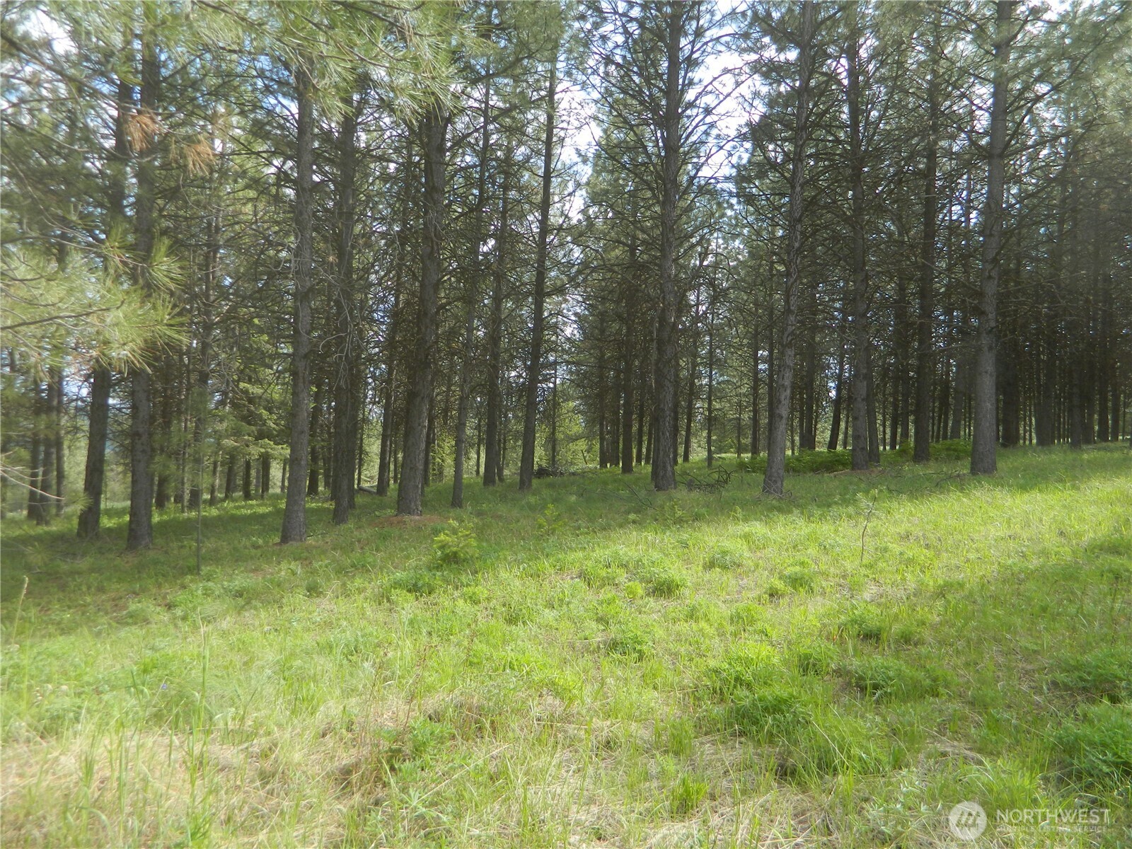 0 Blue Meadow Road Tonasket, WA 98855 - Photo 26 of 26 a backyard of a house with lots of green space and chair