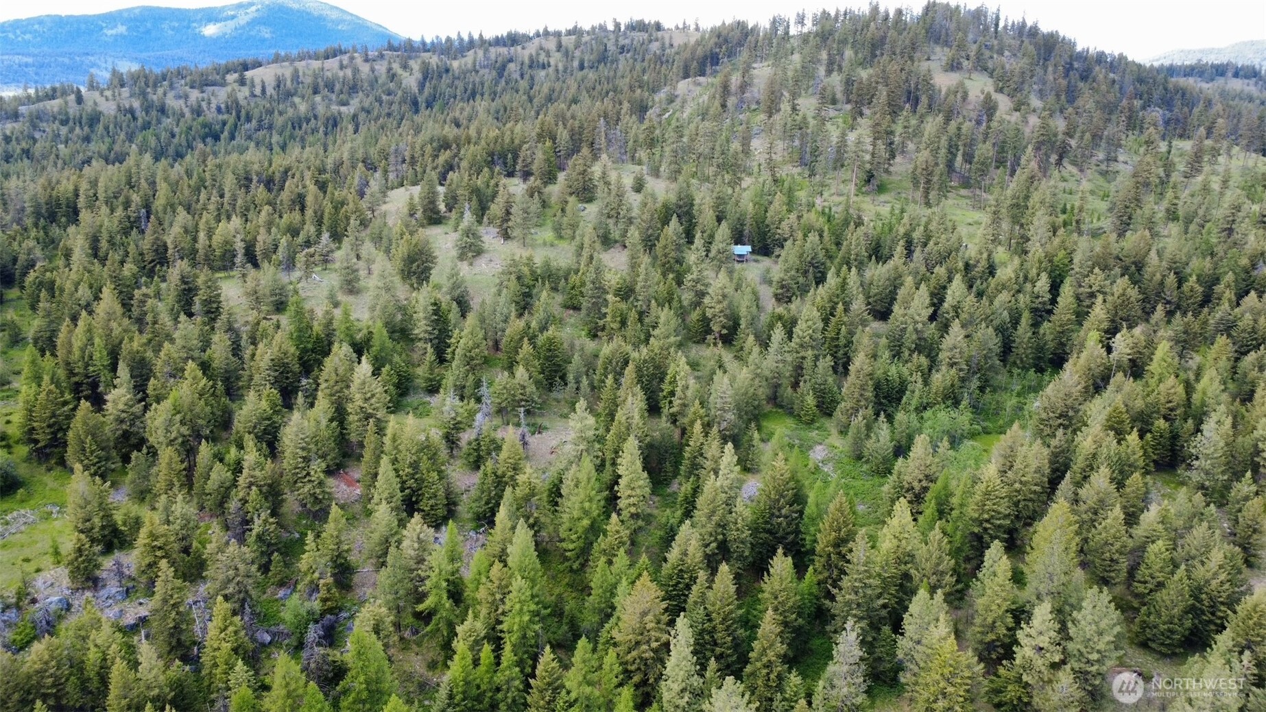 0 Blue Meadow Road Tonasket, WA 98855 - Photo 3 of 26 a view of a lush green forest with lush green forest