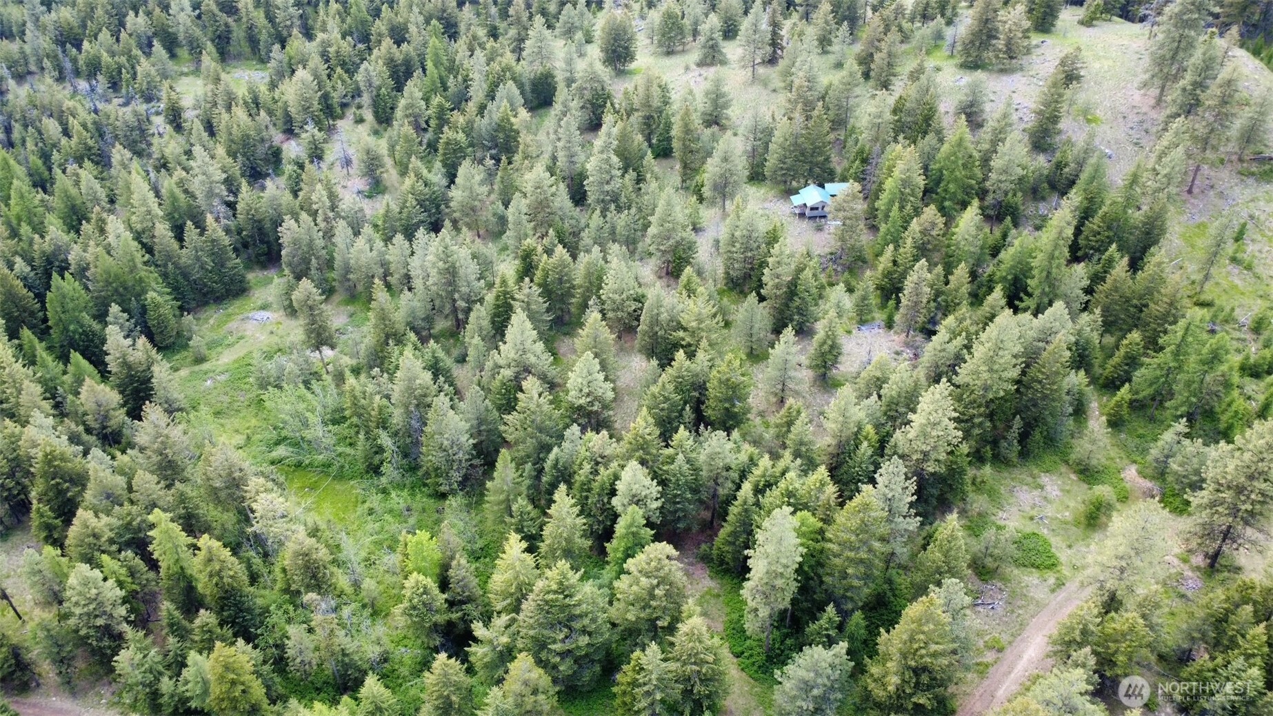 0 Blue Meadow Road Tonasket, WA 98855 - Photo 4 of 26 a view of a lots of trees and bushes