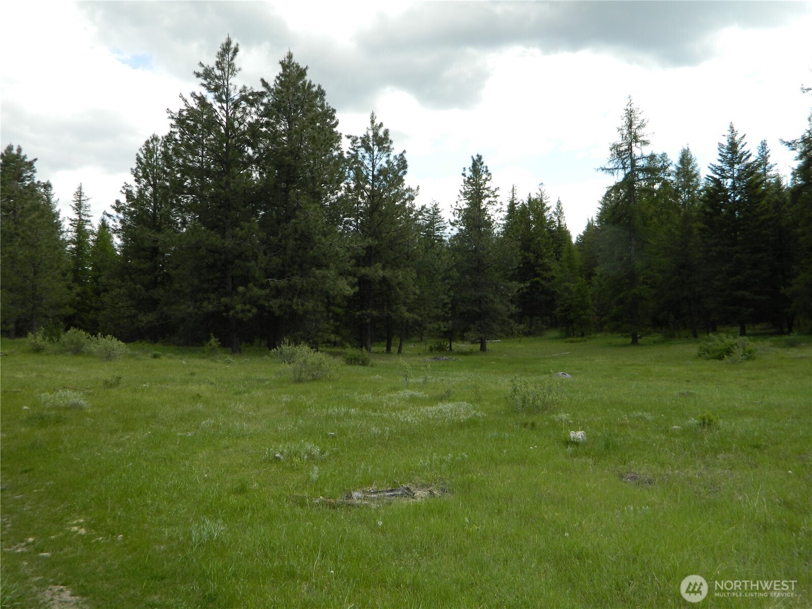 0 Blue Meadow Road Tonasket, WA 98855 - Photo 6 of 26 a view of a grassy area