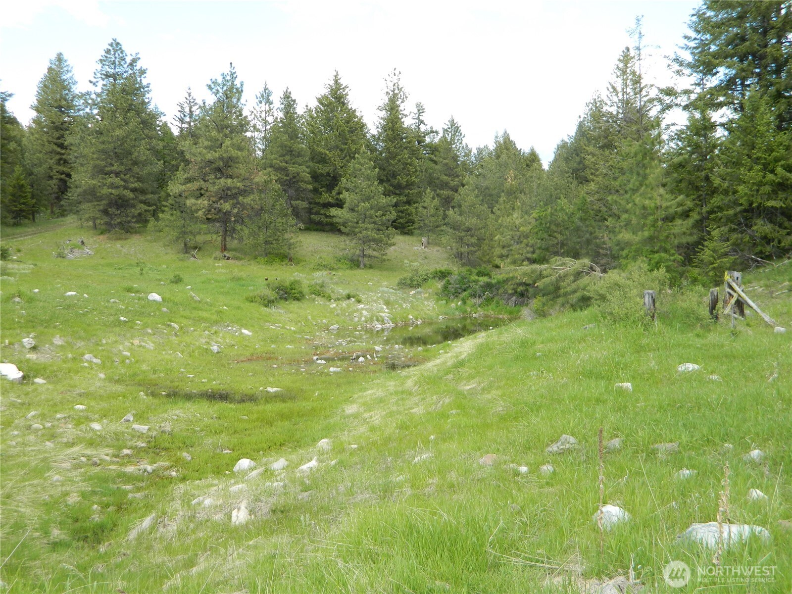 0 Blue Meadow Road Tonasket, WA 98855 - Photo 7 of 26 a view of a lush green space