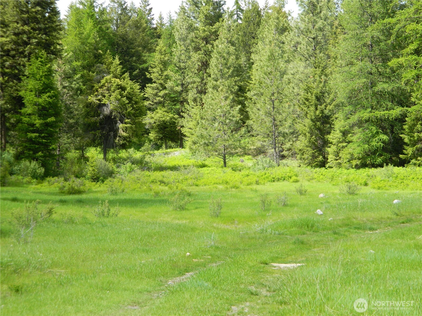 0 Blue Meadow Road Tonasket, WA 98855 - Photo 9 of 26 a view of yard with green space