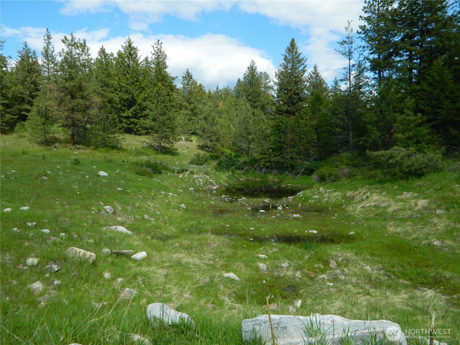 0 Blue Meadow Road Tonasket, WA 98855 - Photo 10 of 26 a view of a green yard