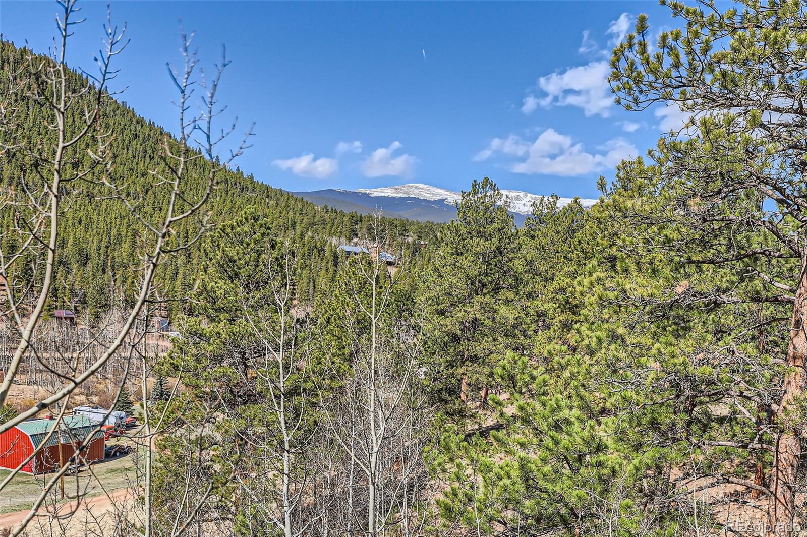 398 Gross Road Bailey, CO 80421 - Photo 27 of 28 a view of a yard