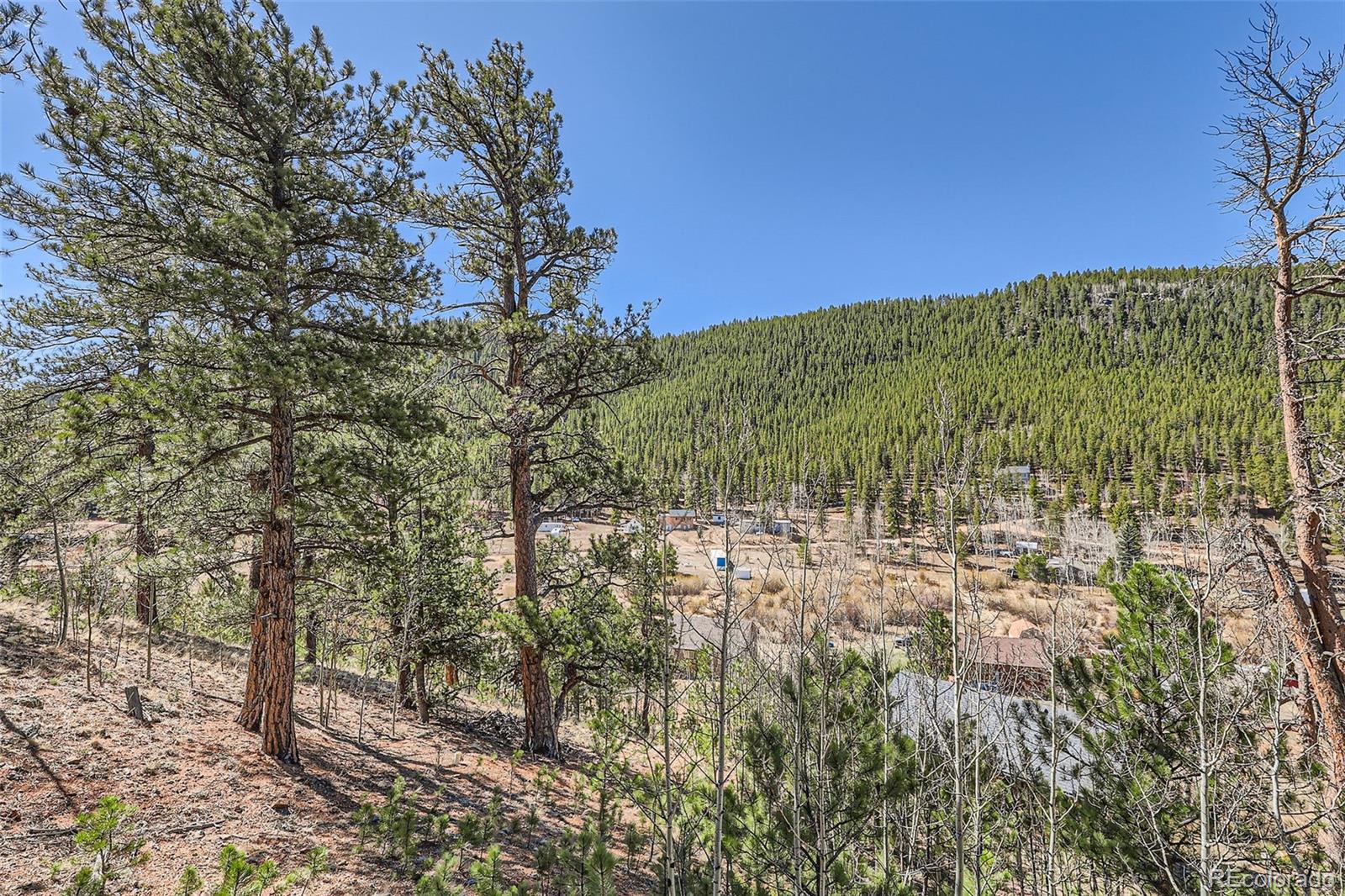 398 Gross Road Bailey, CO 80421 - Photo 28 of 28 a view of a yard with a house in the background