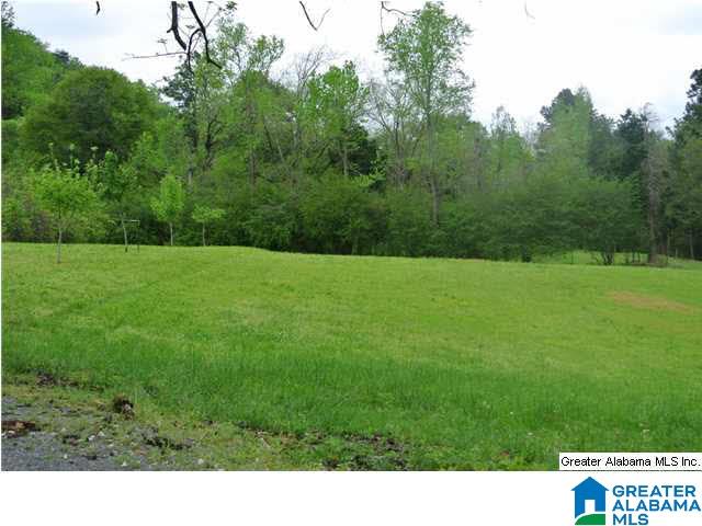 71 Price Lane Oneonta, AL 35121 - Photo 20 of 32
