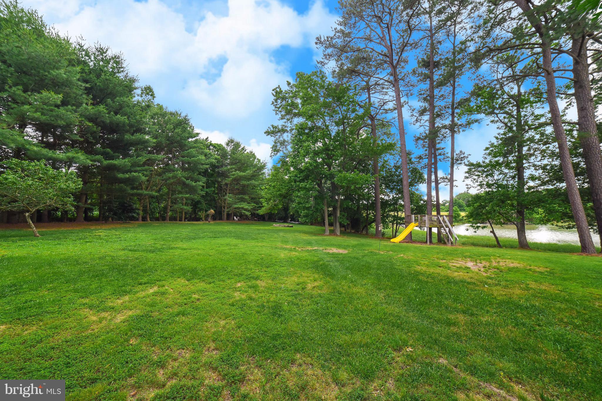 16215 Osprey Cove Ln Ridge Ridge, MD 20680 - Photo 6 of 30 a view of a grassy field with trees in the background