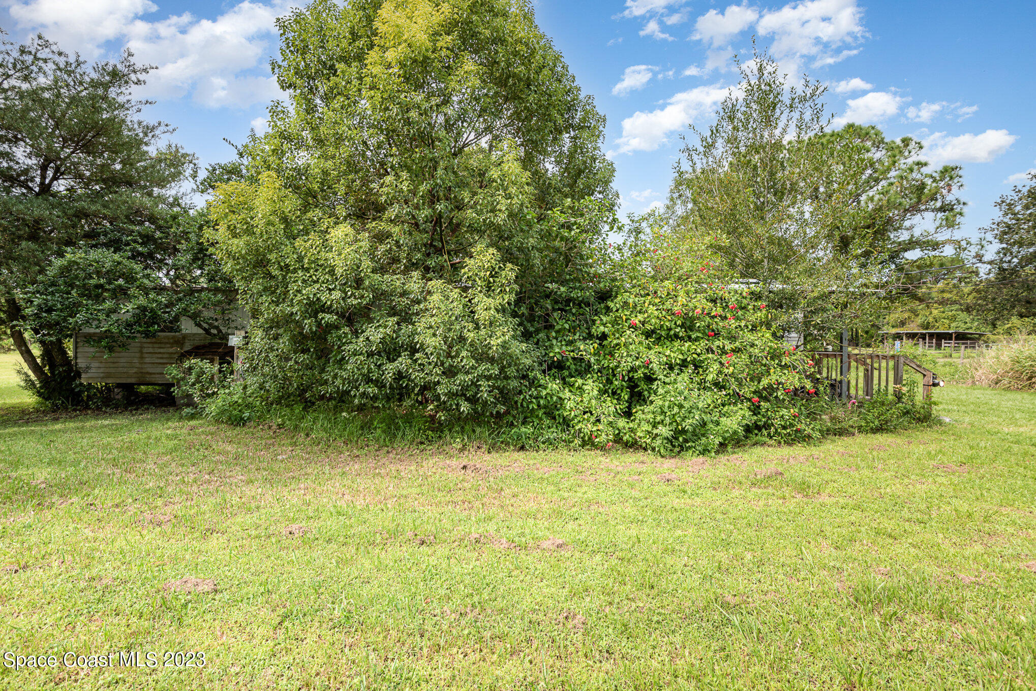 4173 Aurantia Road Mims, FL 32754 - Photo 23 of 23 a view of a garden