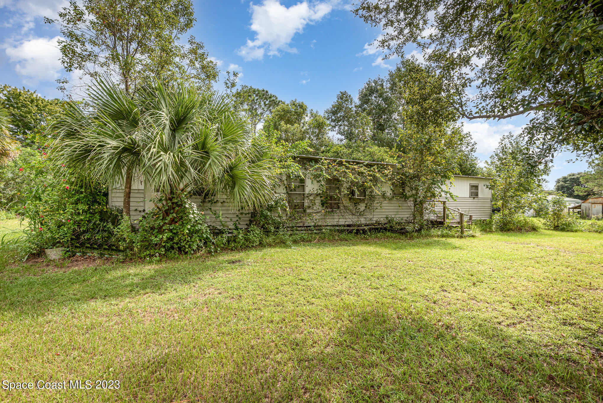 4173 Aurantia Road Mims, FL 32754 - Photo 3 of 23 a view of a yard with an trees
