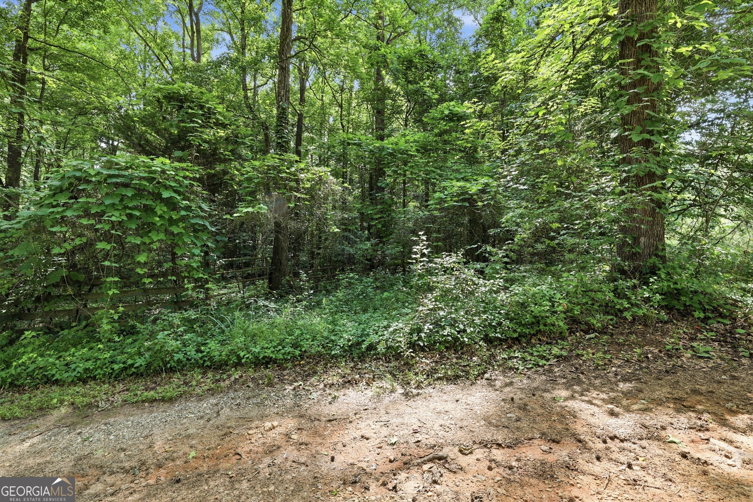 0 Lord Road Commerce, GA 30530 - Photo 11 of 22
