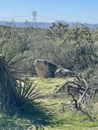 a view of a houses from a yard