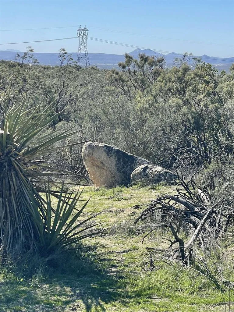 a view of a houses from a yard