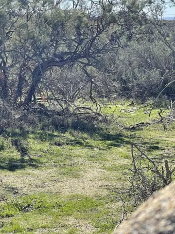 a view of a lake view