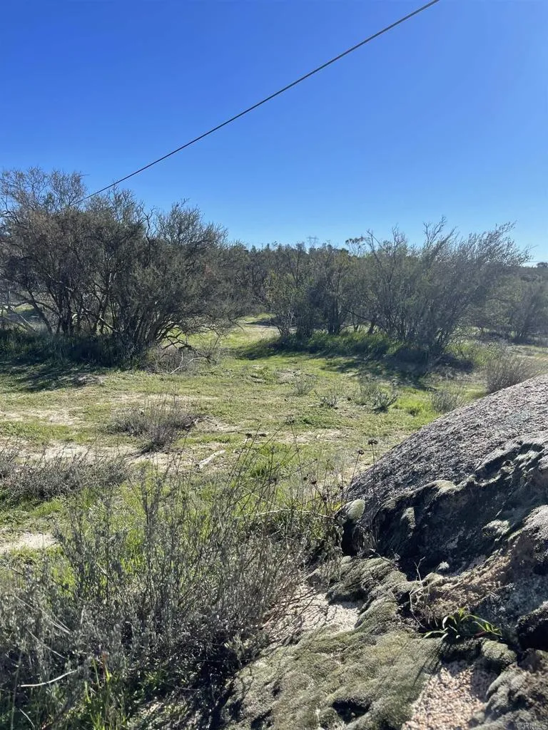 22 Tierra Del Sol Road Boulevard, CA 91905 - Photo 3 of 8 a view of a yard with a tree