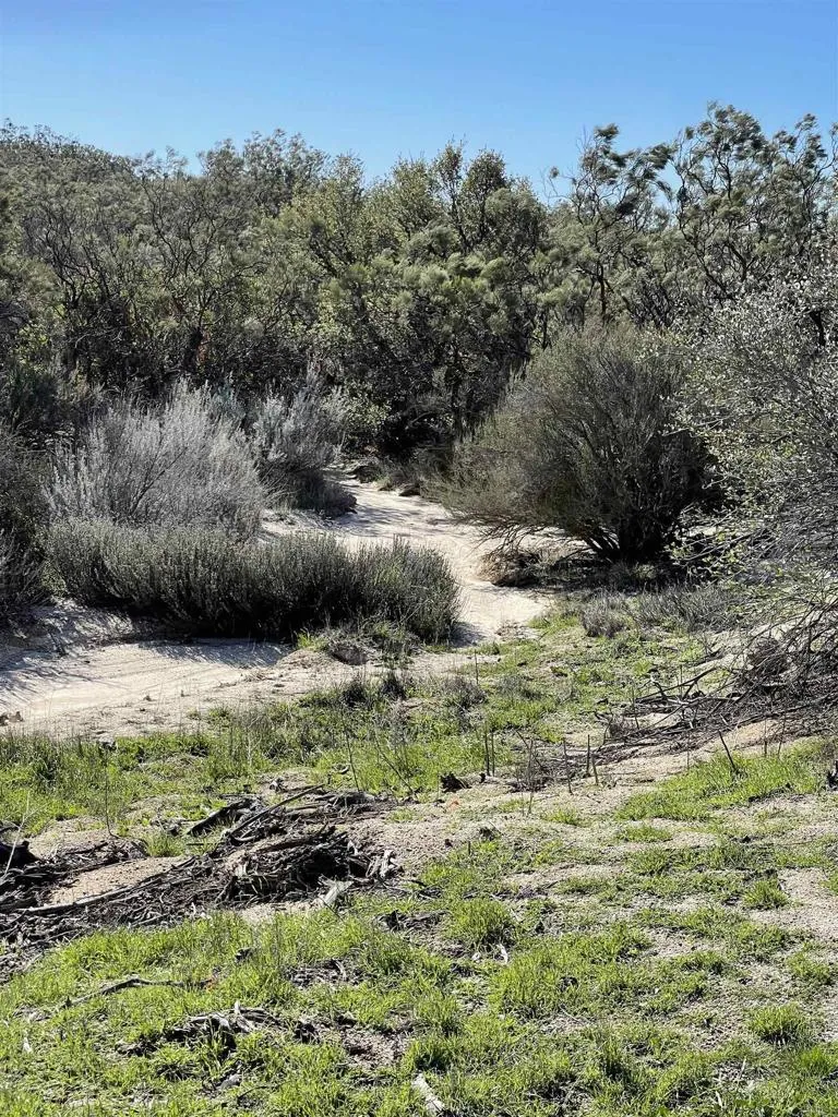22 Tierra Del Sol Road Boulevard, CA 91905 - Photo 5 of 8 a view of a green field with lots of bushes