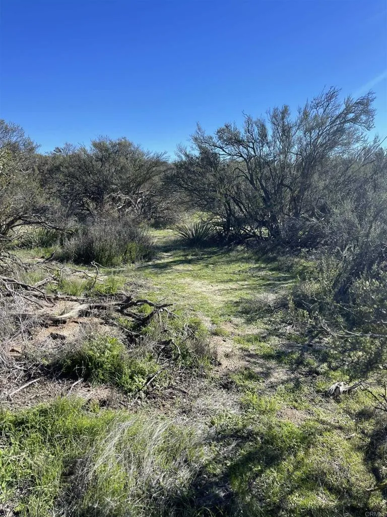 22 Tierra Del Sol Road Boulevard, CA 91905 - Photo 7 of 8 a view of a field with a tree in the background