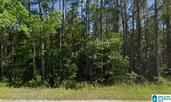 $260,000 | 455 Oak Grove Road, Springville, AL 35146