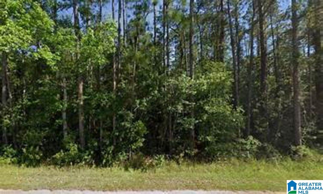 455 Oak Grove Road Springville, AL 35146 - Photo 1 of 1