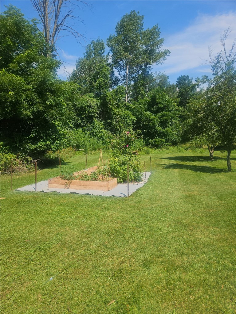4073 Pearl Street Road Batavia, NY 14020 - Photo 10 of 24