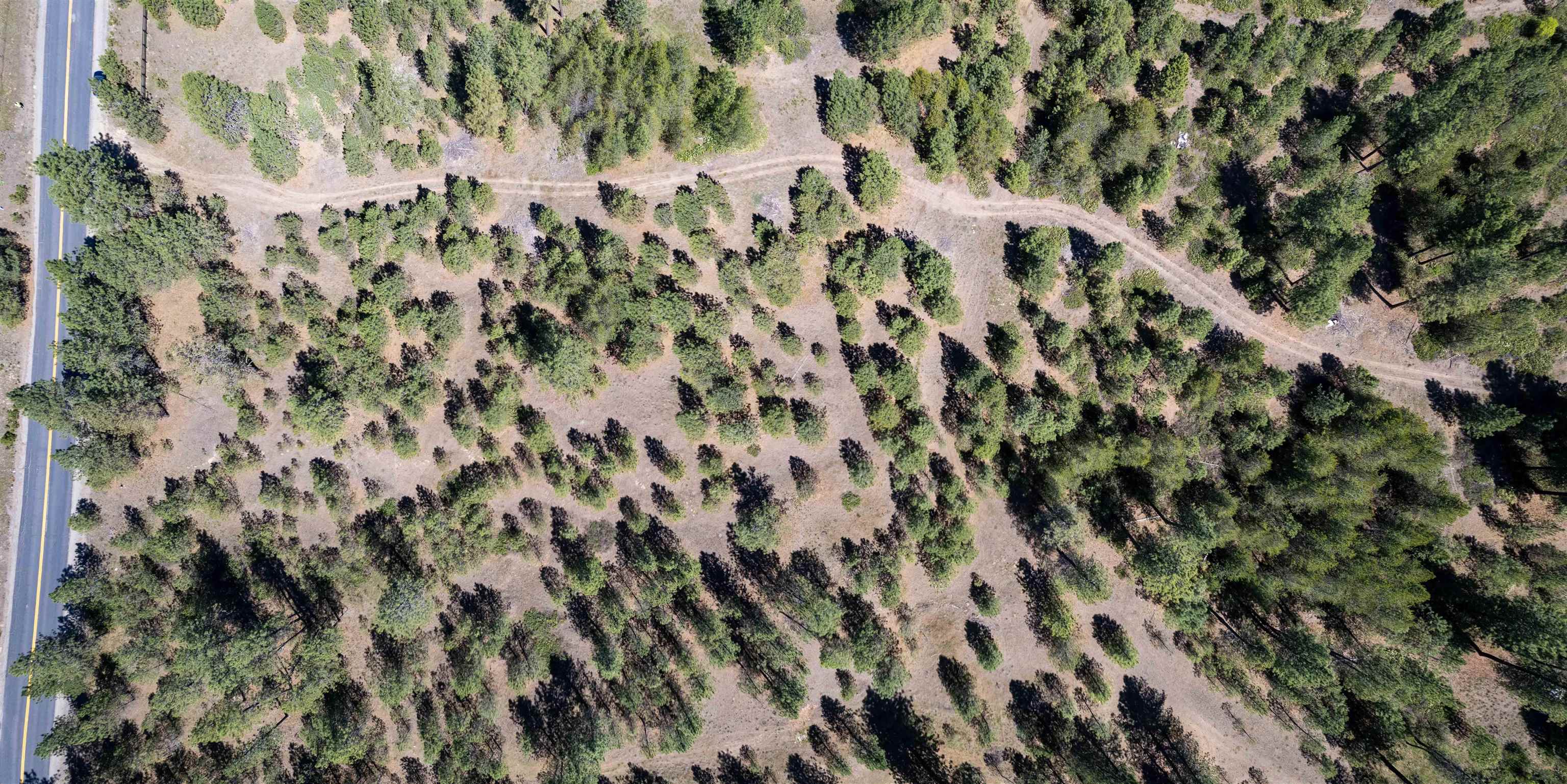 29-xxx North Hardesty Road Chattaroy, WA 99003 - Photo 15 of 40
