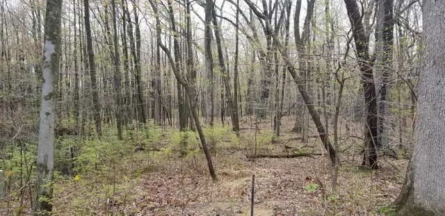 $59,900 | 36200 Maier Street, Gobles, MI 49055