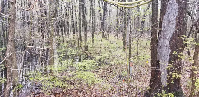 $59,900 | 36200 Maier Street, Gobles, MI 49055