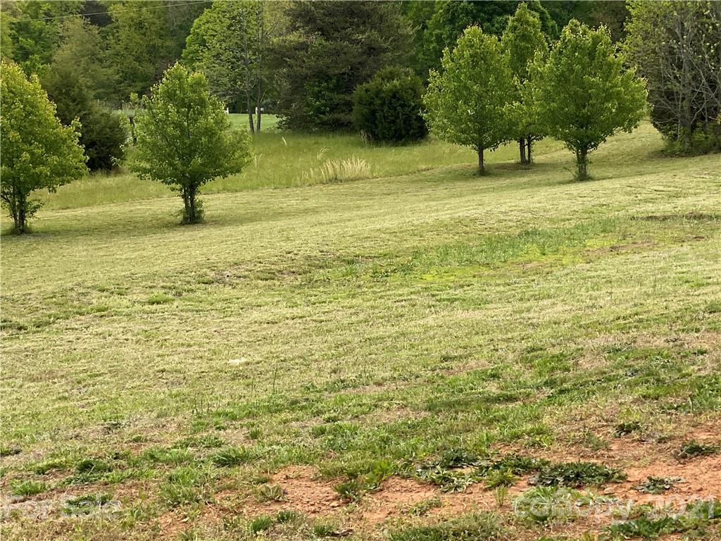 7300 Dan Rhyne Road Vale, NC 28168 - Photo 21 of 23 a view of yard with large trees