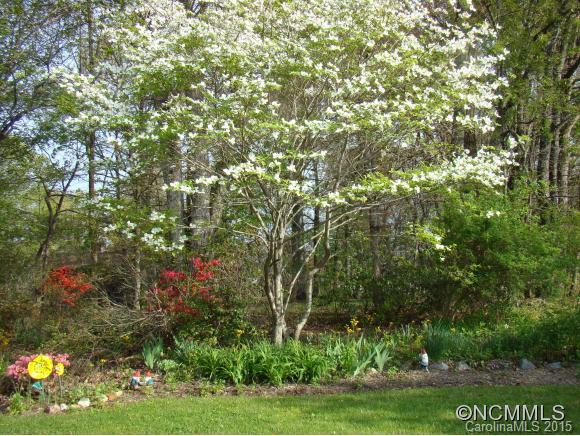 366 Cardinal Road Mills River, NC 28759 - Photo 17 of 22 Gallery Image 17
