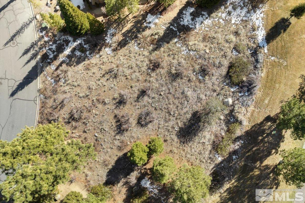 5715 Nordend Way, Unit 1008 Reno, NV 89511 - Photo 11 of 13 a view of a yard with plants and trees
