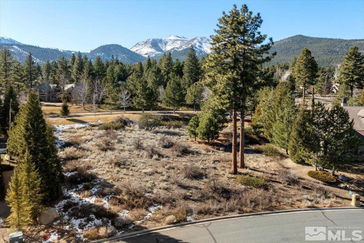 5715 Nordend Way, Unit 1008 Reno, NV 89511 - Photo 2 of 13 a view of a forest with a mountain