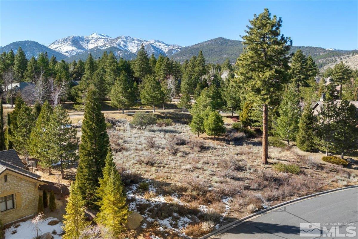 5715 Nordend Way, Unit 1008 Reno, NV 89511 - Photo 3 of 13 a view of a forest with a mountain