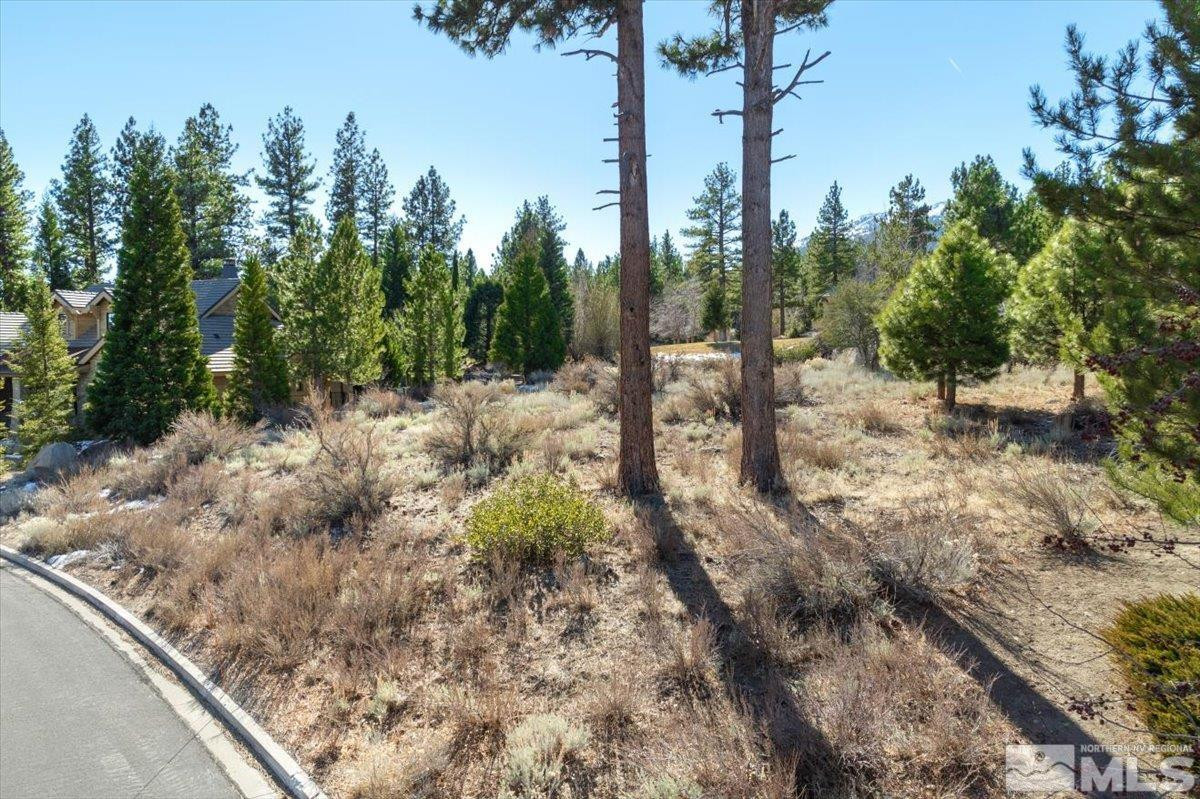 5715 Nordend Way, Unit 1008 Reno, NV 89511 - Photo 4 of 13 a view of a dry yard with trees