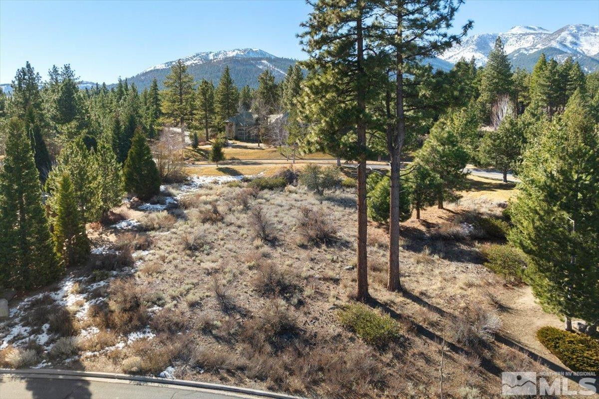 5715 Nordend Way, Unit 1008 Reno, NV 89511 - Photo 5 of 13 a view of a forest with a tree